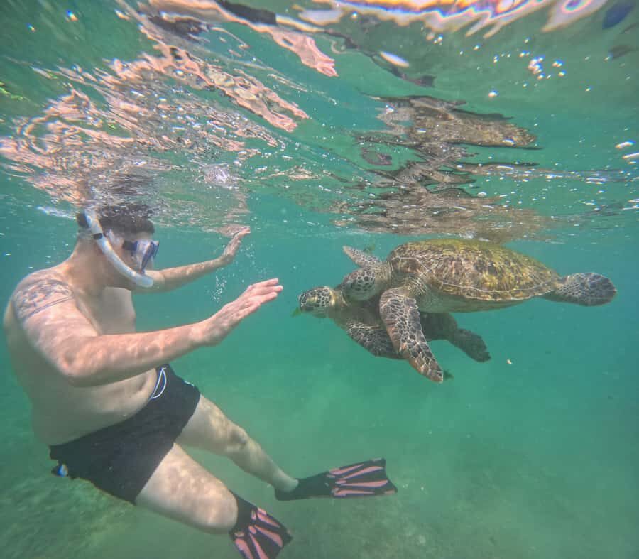 Mirissa Snorkeling Tour with Turtle Adventure and Free Video - The Value of the Experience
