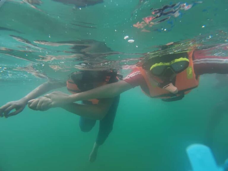 Mirissa Snorkeling Trip with Sea Turtles & Coral Reef - The Details of the Mirissa Snorkeling Trip