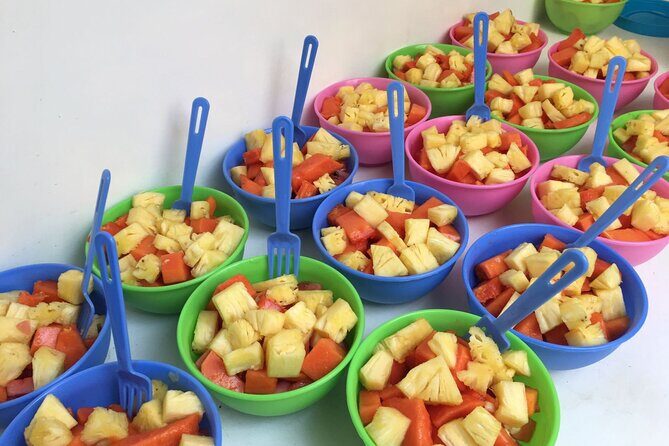 Mirissa Whale watching tour from Colombo/Negombo with Breakfast - An In-Depth Look at the Mirissa Whale Watching Tour