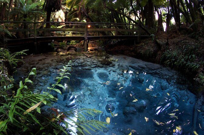 Mitai Maori Village,Waiotapu Thermal Wonderland& Redwood Treewalk - Authenticity and Traveler Feedback