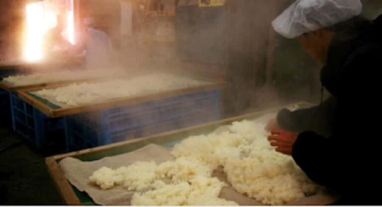 Miyagi: Hagino Sake Brewery Tour and Tasting - What Makes This Brewery Stand Out?