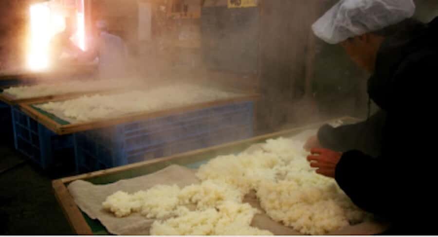 Miyagi: Hagino Sake Brewery Tour and Tasting