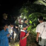 Miyakojima: Starry sky  Jungle Night Tour - The Souvenir & Family Touches