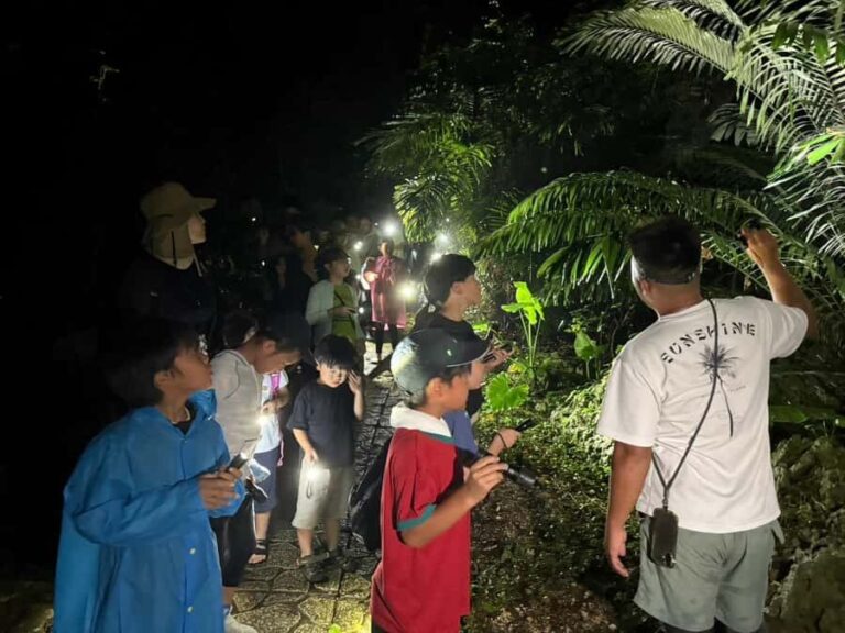 Miyakojima: Starry sky  Jungle Night Tour - The Souvenir & Family Touches