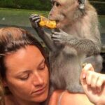 Mongkey Forest , Water Temple , Waterfall and Rice Terraces - Authentic Experiences and Traveler Feedback