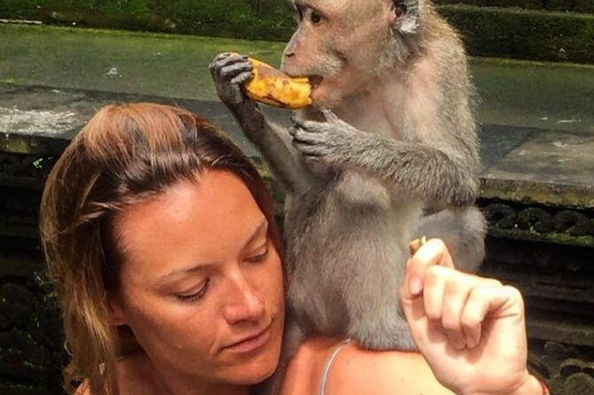 Mongkey Forest , Water Temple , Waterfall and Rice Terraces - Authentic Experiences and Traveler Feedback