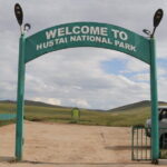 Mongol Nomadic & Khustai National Park Private Full Day Tour - Who This Tour Is Perfect For