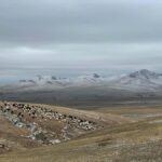 Mongolia: Overnight Nomadic Herders Experience - The Practical Side: What to Expect and Prepare For