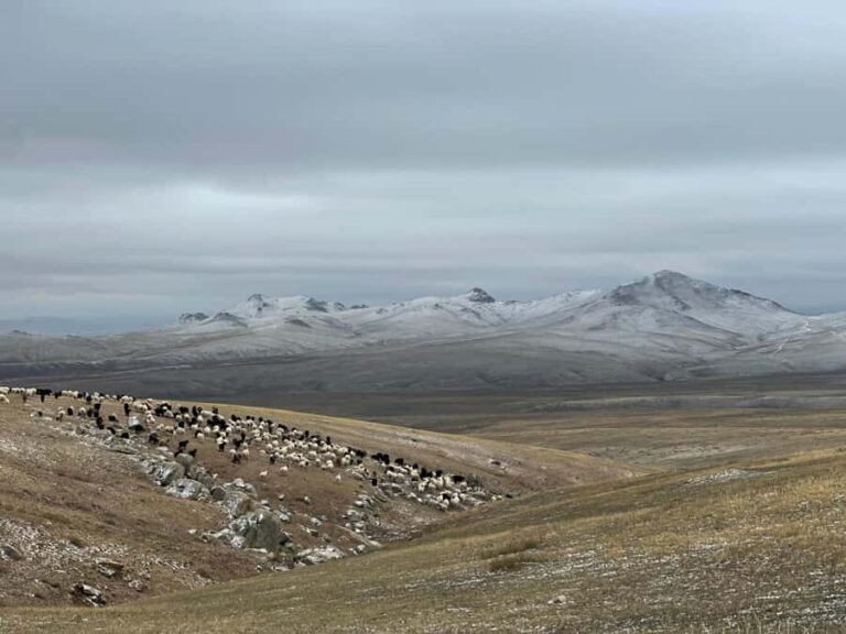 Mongolia: Overnight Nomadic Herders Experience - The Practical Side: What to Expect and Prepare For