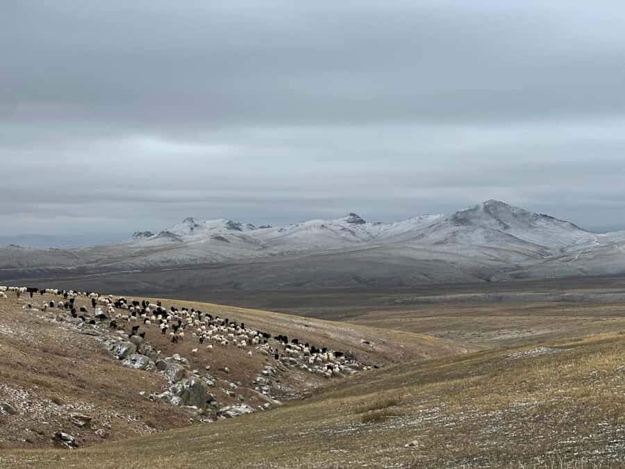 Mongolia: Overnight Nomadic Herders Experience - The Practical Side: What to Expect and Prepare For