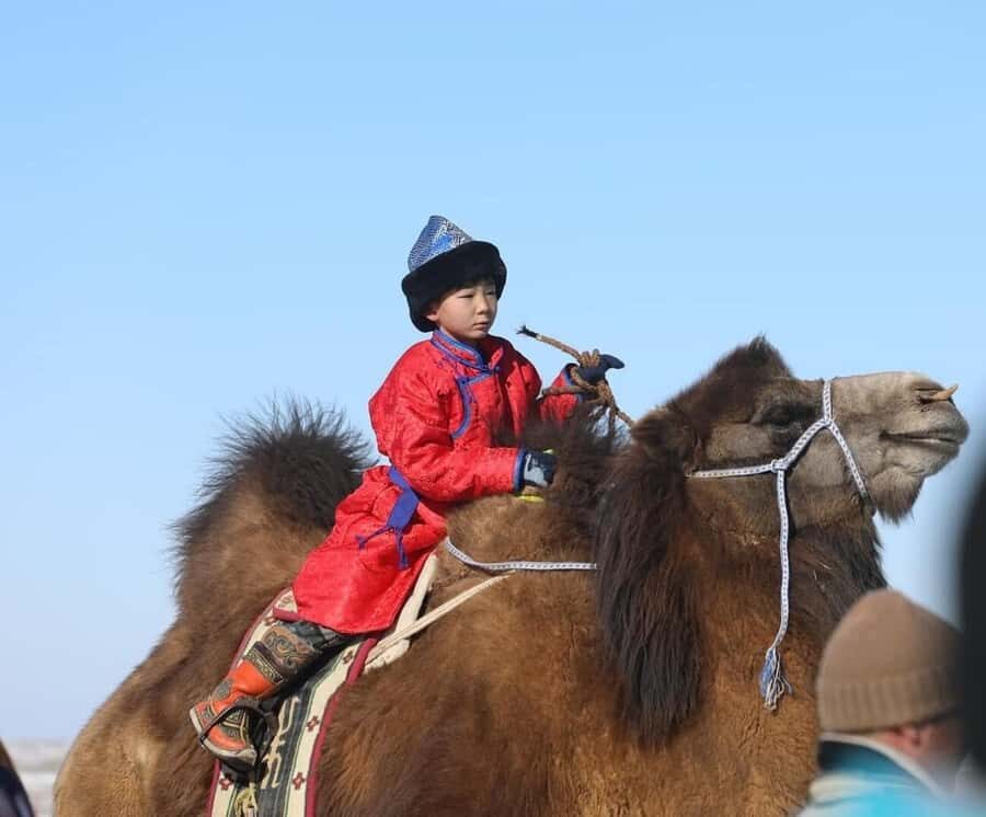 Mongolia: Thousand Camel Festival Tour 3 nights/4 days - The Itinerary Breakdown