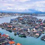 Monkey Island and Floating Village Seafood Adventure - Practical Tips & Considerations