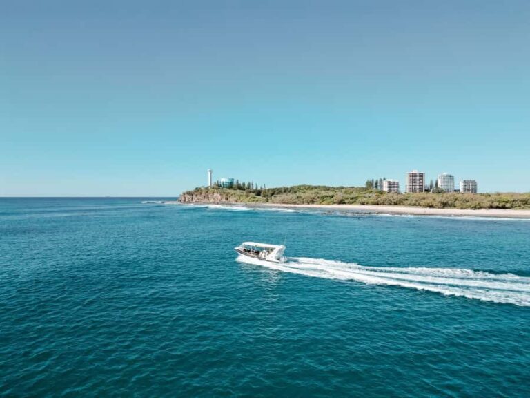 Mooloolaba: Adventure Rafting Turtle Tour - Why This Tour Stands Out