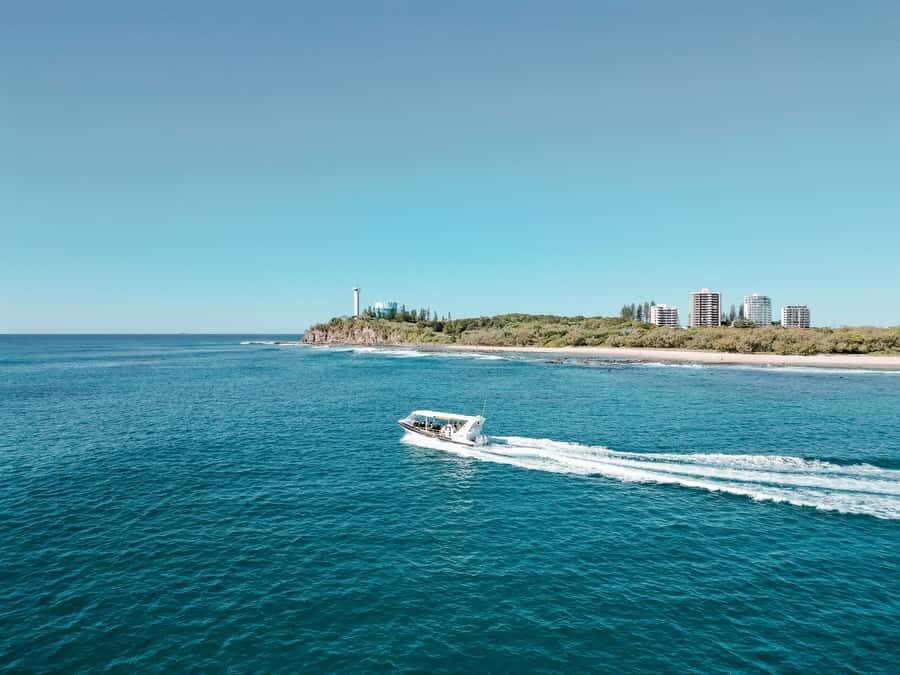 Mooloolaba: Adventure Rafting Turtle Tour - Why This Tour Stands Out