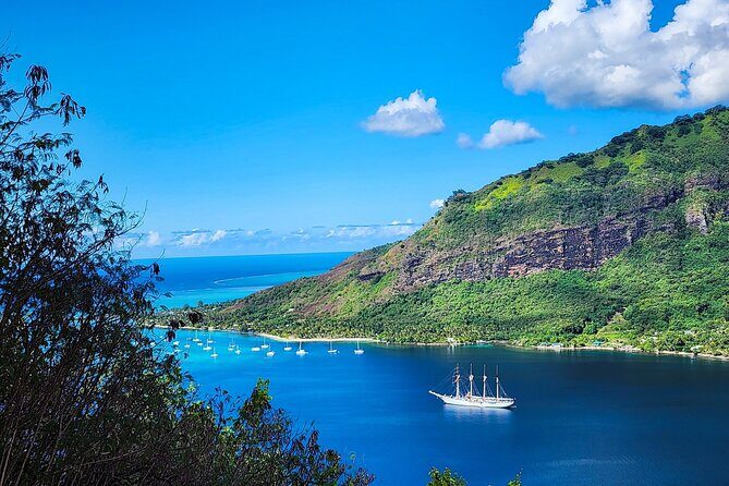 Moorea Full-Day Hiking Experience  Private Shore Tour - Discovering Moorea’s Natural Beauty