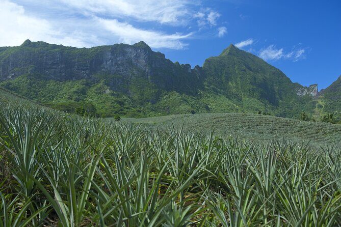 Moorea Highlights Private Tour: Natural and Cultural Attraction - Deep Dive into the Experience