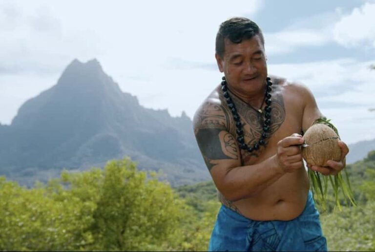 Moorea: Scenic Bus Tour with Guide for Cruise ship passenger - The Sum Up