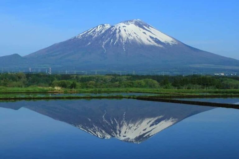 Morioka: Private Guided Tour with Government-Licensed Guide - The Itinerary and What to Expect