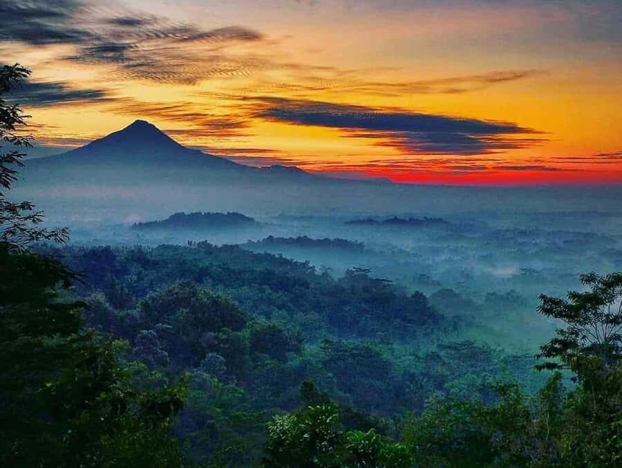 Morning Bliss at Puthuk Setumbu
