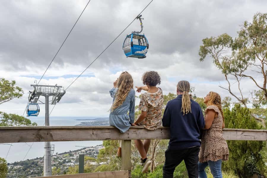 Mornington Peninsula Luxury Day Escape - The Value of This Tour