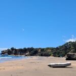 Motuihe Island Day Trip Ferry from Auckland - Transportation and Practical Details