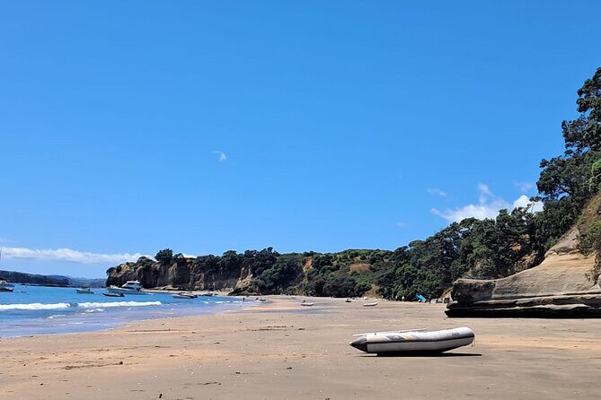 Motuihe Island Day Trip Ferry from Auckland - Transportation and Practical Details