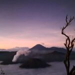 Mount Bromo & Ijen Open Trip 3D2N All Inclusive - A Deep Dive Into the 3-Day Itinerary