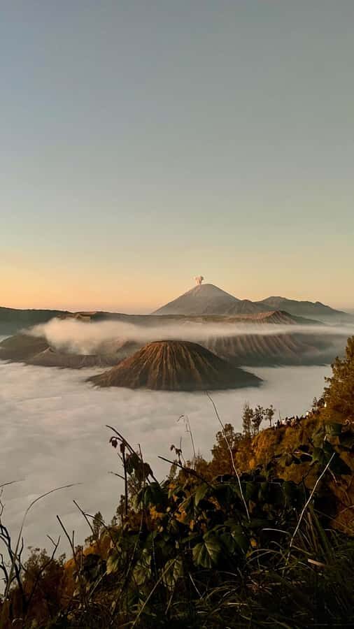Mount Bromo Jeep Tour with 4-Night Stay - Who Would Love This Tour?