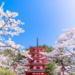 Mount Fuji 5th Station, Arakurayama, Oshino Hakkai and Hot Spring - Authentic Experiences & Review Insights