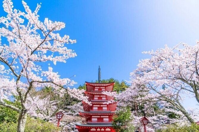 Mount Fuji 5th Station, Arakurayama, Oshino Hakkai and Hot Spring - Authentic Experiences & Review Insights