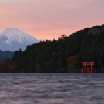 Mount Fuji and Hakone Private day trip from Tokyo - What Travelers Say