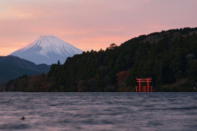 Mount Fuji and Hakone Private day trip from Tokyo - What Travelers Say