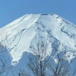 Mount Fuji and Hakone Private Tour with English Speaking Guide - What Travelers Say