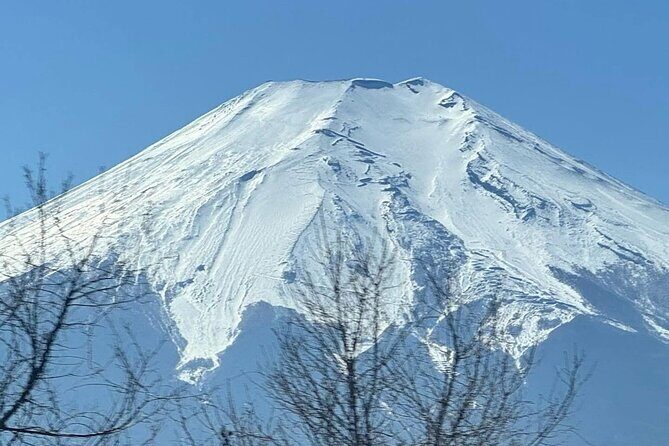 Mount Fuji and Hakone Private Tour with English Speaking Guide - What Travelers Say