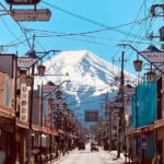 Mount Fuji Flower Viewing Limited Gotemba Outlet Tour - Practicalities and Considerations