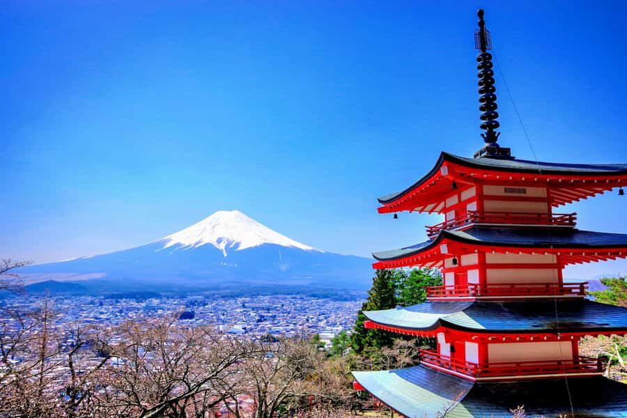 Mount Fuji Full-Day Private Tour from Tokyo (Customizable) - Who Would Love This Tour?