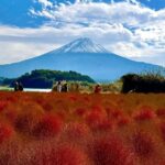 Mount Fuji & Hakone Private English Customized Tour - An In-Depth Look at the Tour Experience