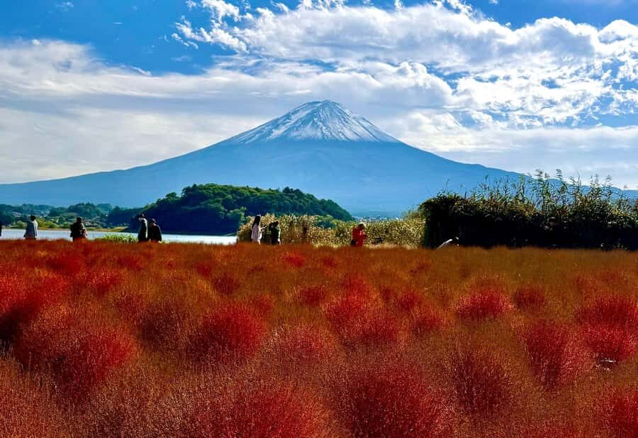 Mount Fuji & Hakone Private English Customized Tour - An In-Depth Look at the Tour Experience