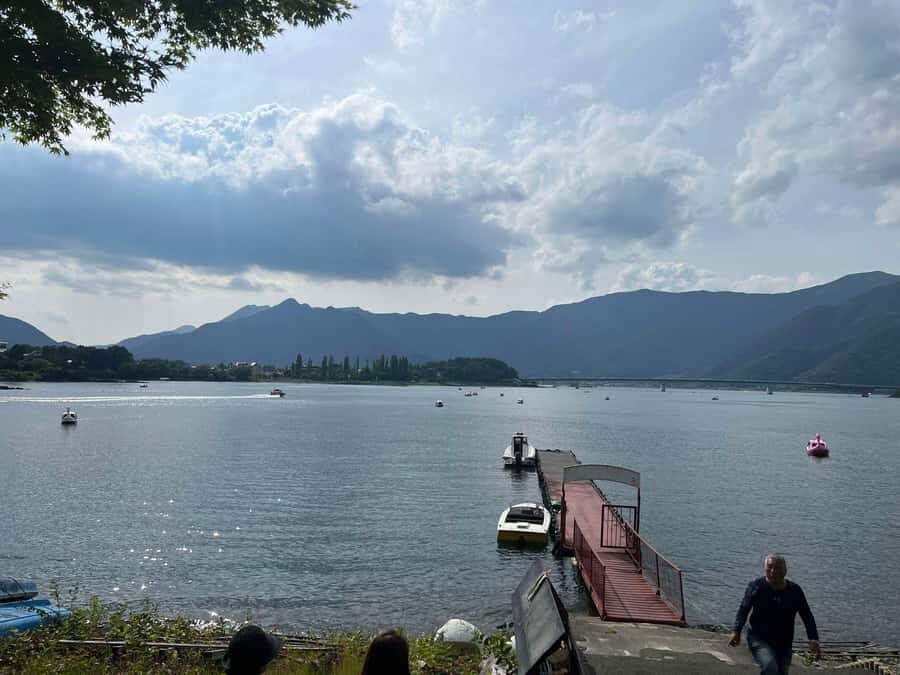 Mount Fuji & Hakone Private Tour with Cherry Blossoms - Practical Details and Value Analysis