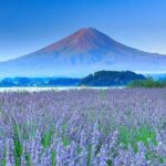 Mount Fuji, Oshino Hakkaiand,Hakone Ropeway Bus Tour Experience - What to Expect from the Experience