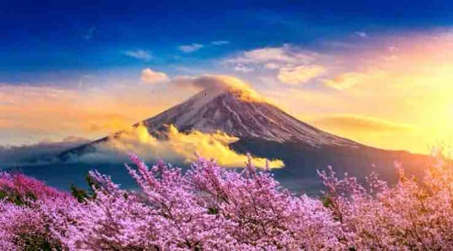 Mount Fuji Private Day Tour with English speaking Guide - Transportation & Timing