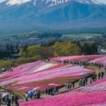 Mount Fuji Private tour with Guide - Final Summary