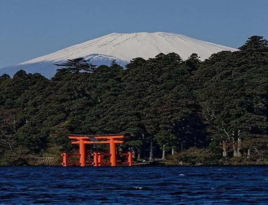 Mount Fuji Views and Hakone with Ht Noodles Experience - Why This Tour Offers Great Value