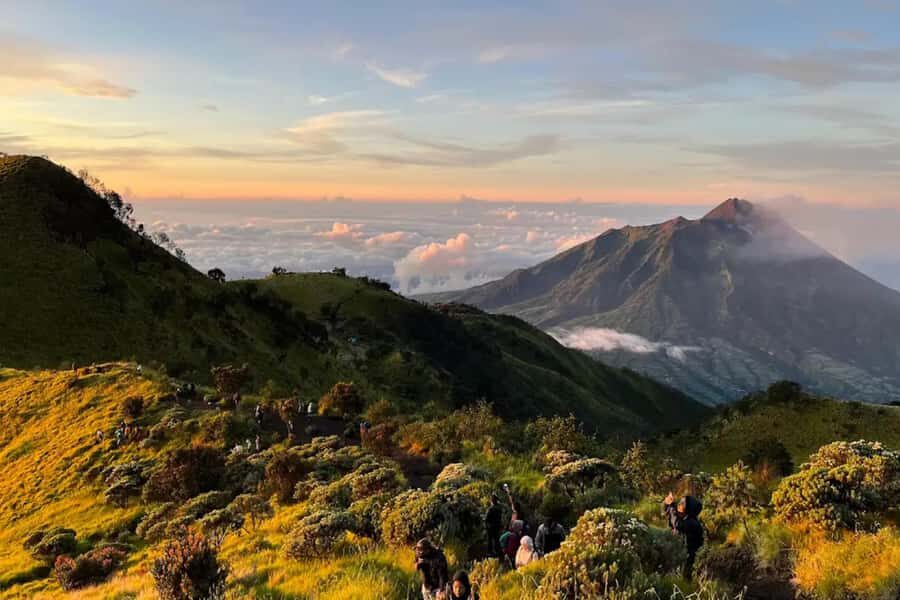 Mount Merbabu Sunrise with Transport, Ticket All Inclusive - The Practicalities: Transport, Timing, and Group Size