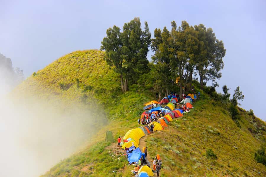 Mount Rinjani: 2D/1N Trekking To Sembalun Or Senaru Views - Who Should Consider This Trek?