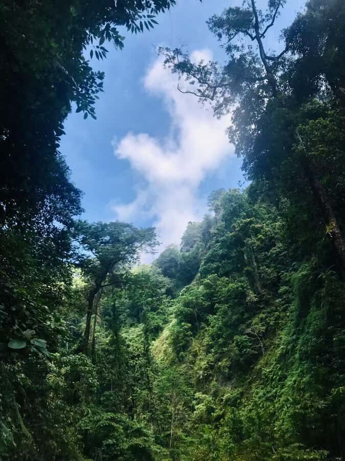 Mount Rinjani 2day and 1night Via Senaru Crater Rim - Detailed Breakdown of the Itinerary