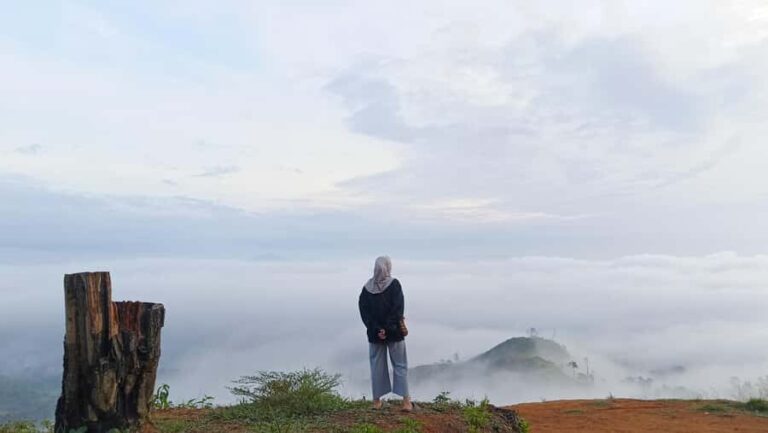 Mount Sago: Summit Zen & Palm Sugar Tour" - The Experience: What Youll Really Take Away