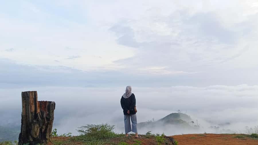 Mount Sago: Summit Zen & Palm Sugar Tour" - The Experience: What Youll Really Take Away