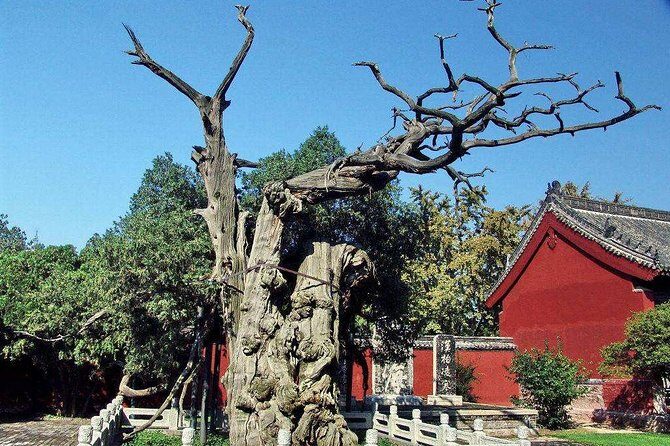 Mount Tai Private Day Tour from Jinan with Lunch and Cable Car Ride - The Itinerary in Detail