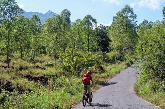 Mountain Bicycle Rental at Mount Batur - The Sum Up